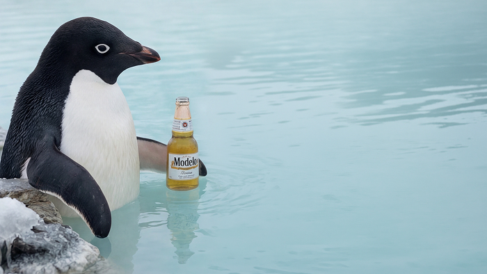 Modelo Nihilist Penguin AI spec spot, Wrecking Ball